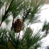 December - jeles napok és ünnepek