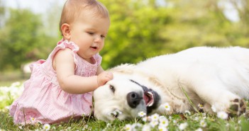 Állatokkal élni love-gorgeous-cute-girl-baby-playing-with-dog-wallpaper-hd
