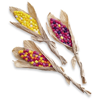 őszi kukorica dekoráció