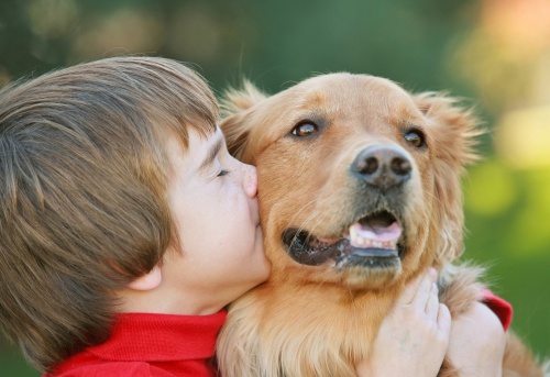 kutya-gyermek barátság