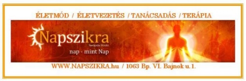 napszikra_logo