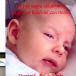 Édesanyja Koza Ágnes, édesapja Szucsik Norbert.